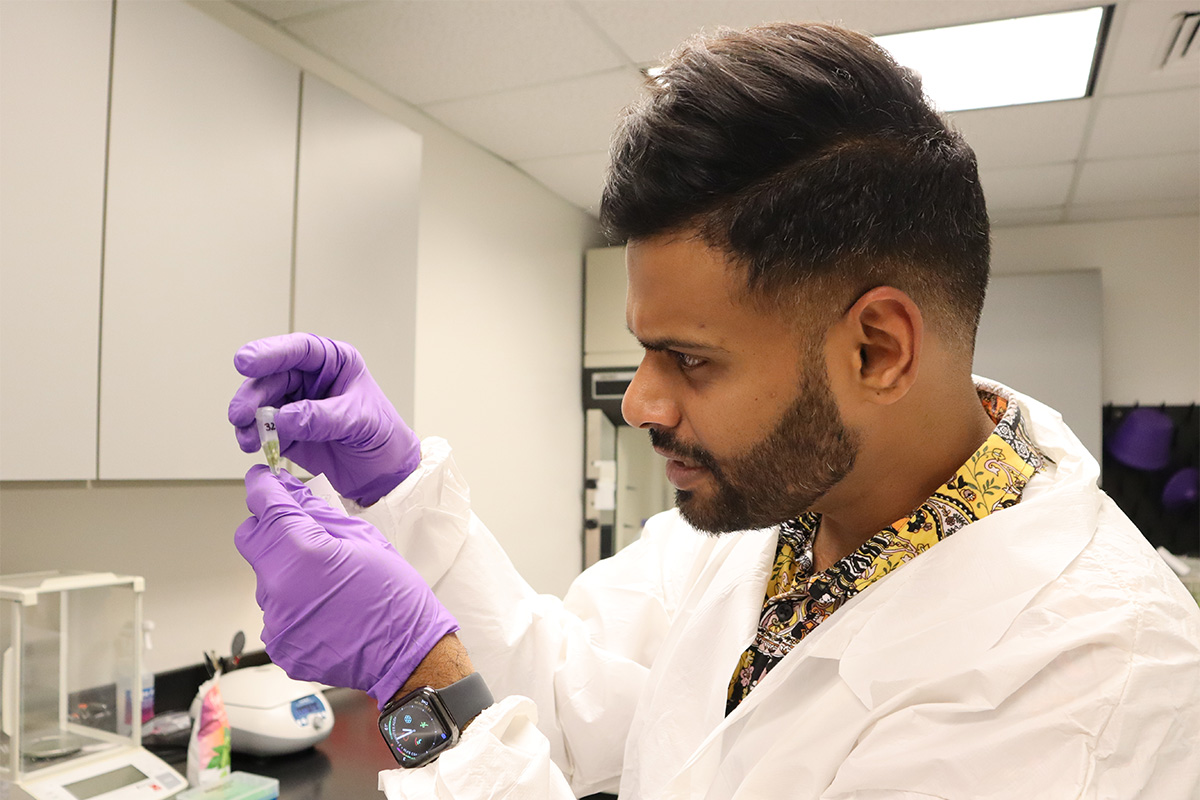 Biologist inspects vial of genetic material from hops