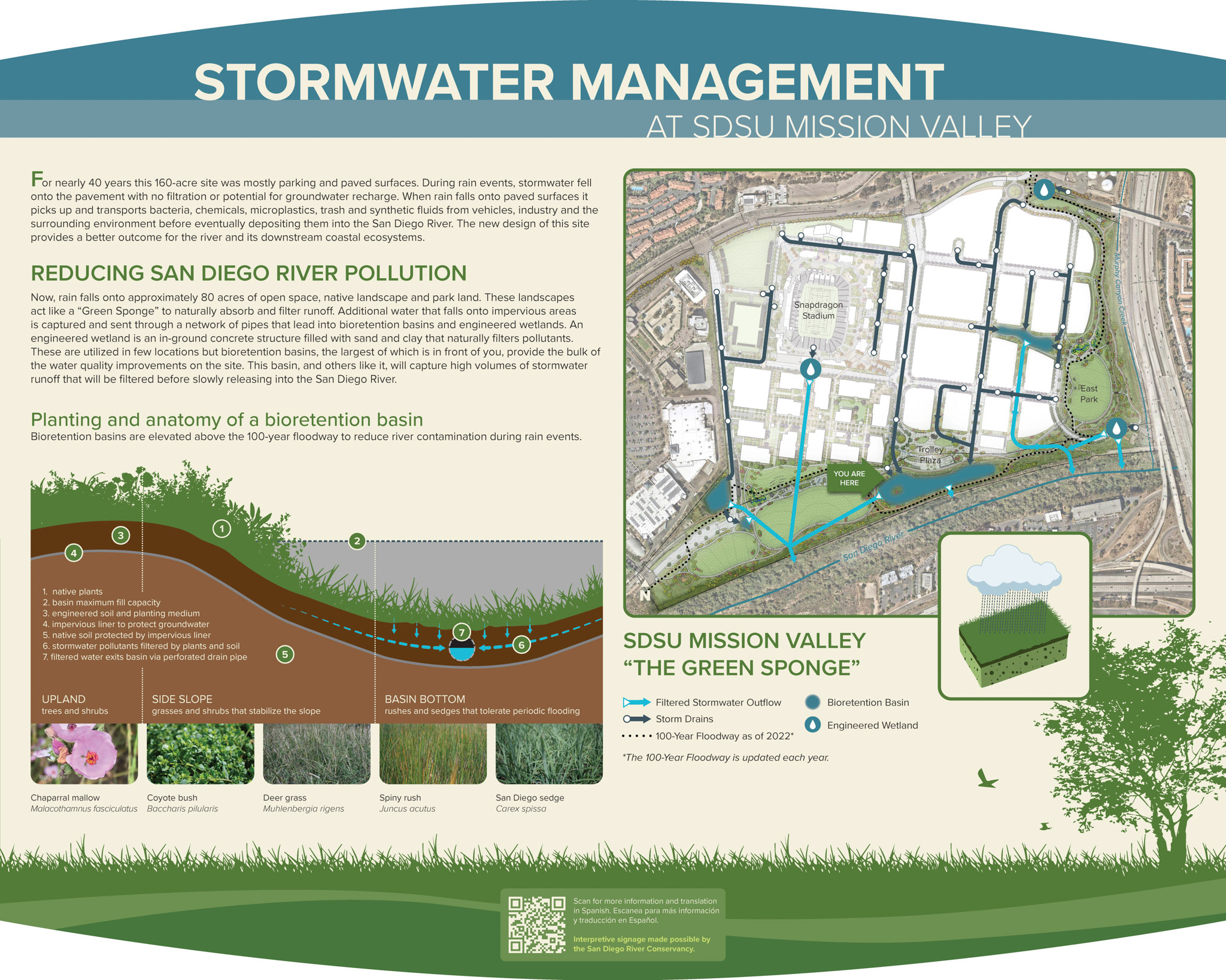 stormwater